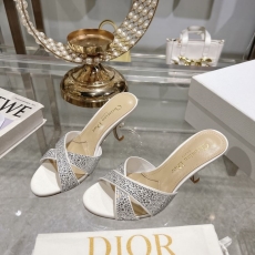 Christian Dior Slippers